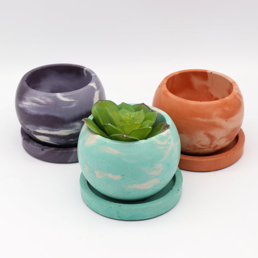 Small 4" Sphere Succulent Planter with Matching Tray